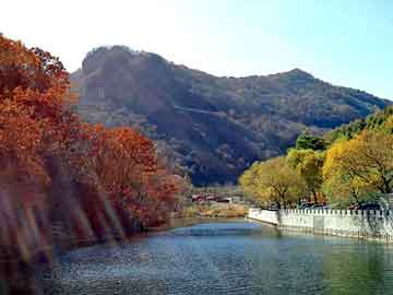 新澳天天开奖资料大全旅游团，电教磁板